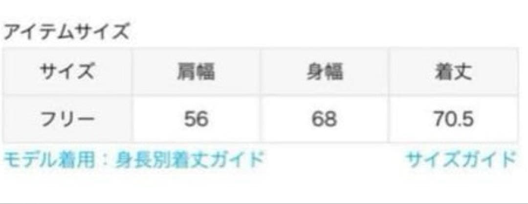 アパルトモン別注　アメリカーナ　ノースリーブパーカー　フーディー