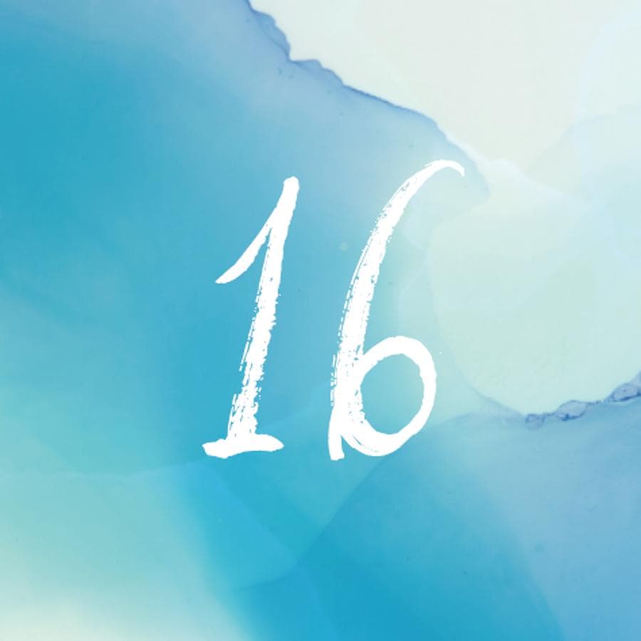 【toy10 様】／白無地ハーフ横長▶600枚