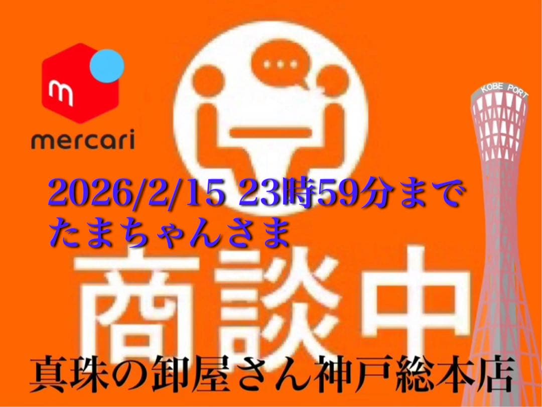 【新品・百貨店商品・神戸総本店】S-特2108たまちゃんさま　商談中ページ