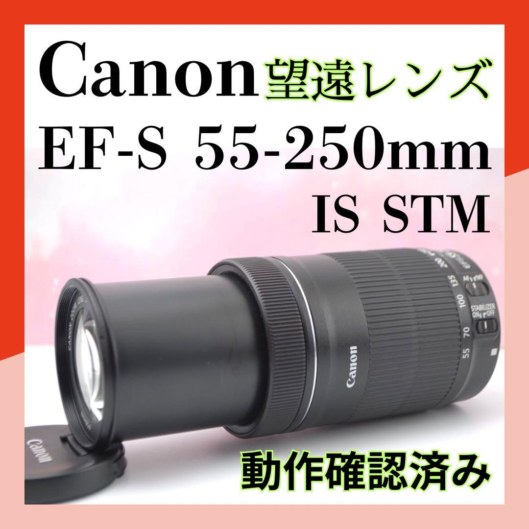 ⭐最新望遠レンズ⭐EF-S 55-250mm IS STM 一眼レフ 望遠レンズ
