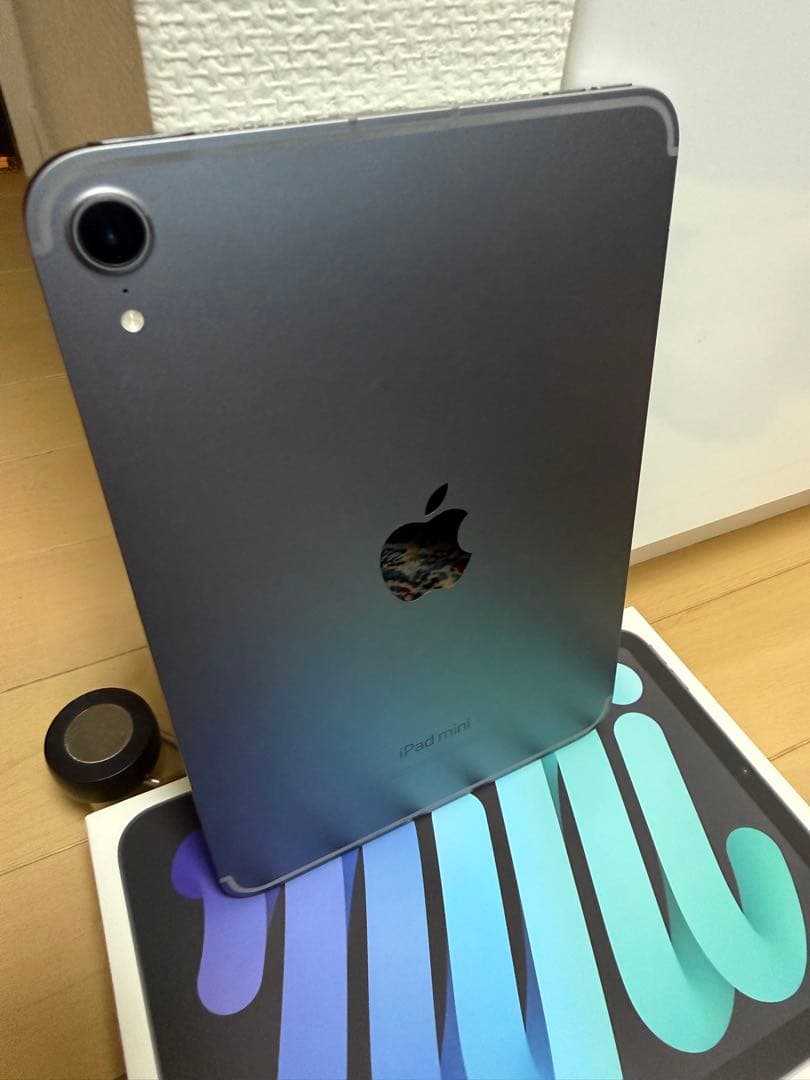 iPad本体 iPad mini A17Pro Wi-Fi + Cellular 512GB