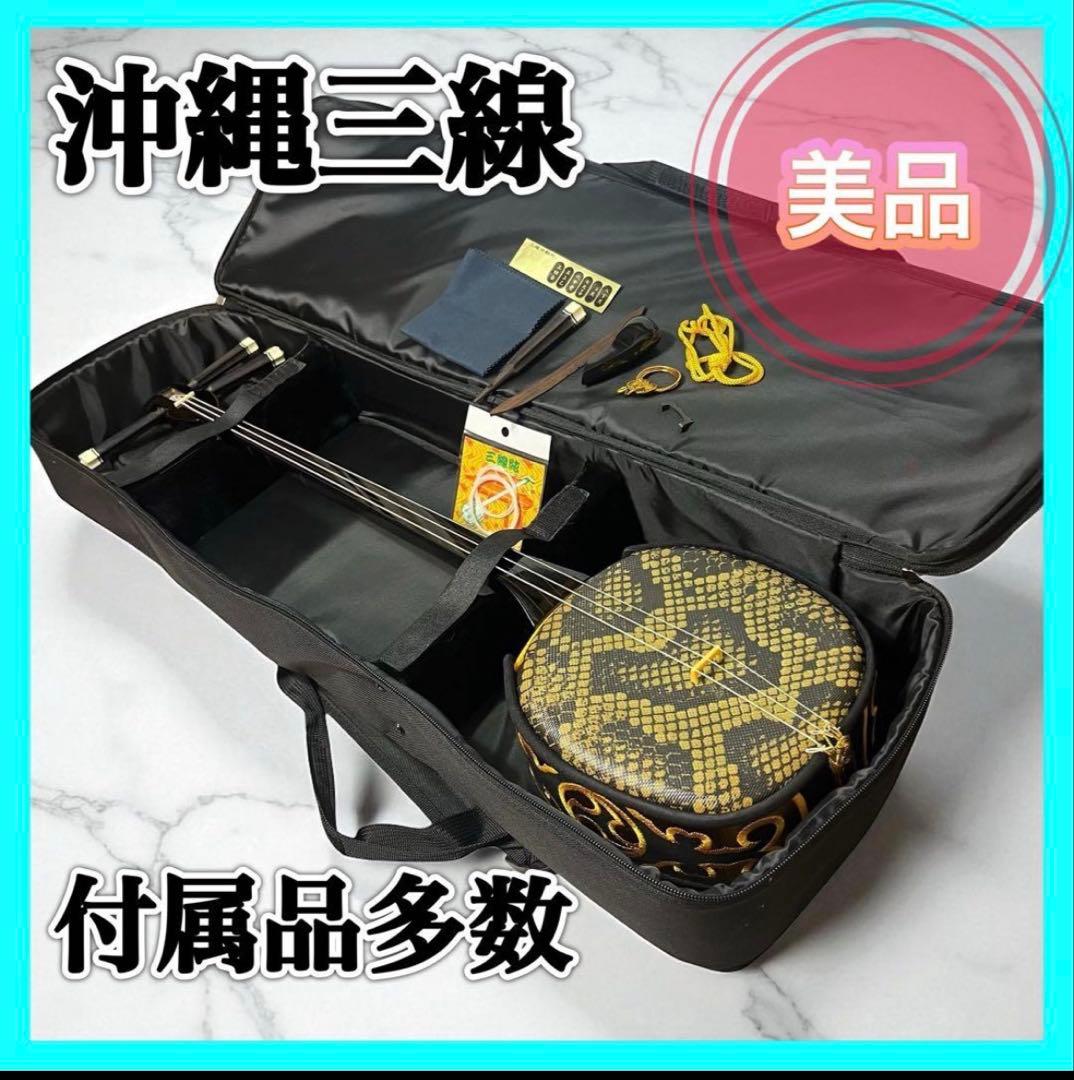 沖縄三線 伝統 蛇革 蛇皮 人工革 初心者 強化張り ケース付 付属品 弦楽器