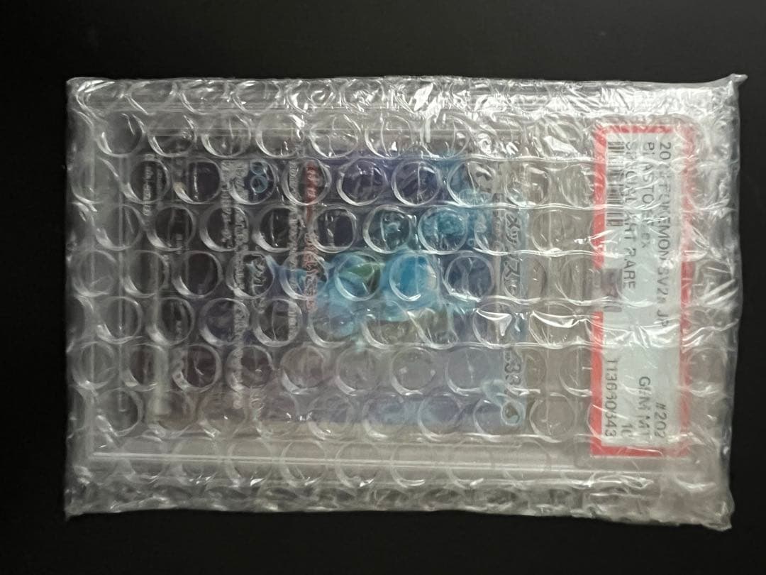 カメックスex SAR PSA10