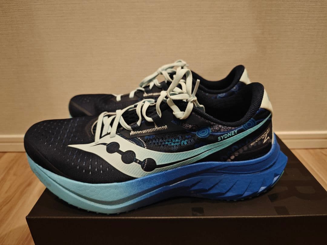 [値下げOK] Saucony エンドルフィンスピード 4 29センチ