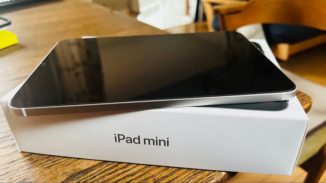 iPad mini (第7世代) Wi-Fi + Cellular 256GB