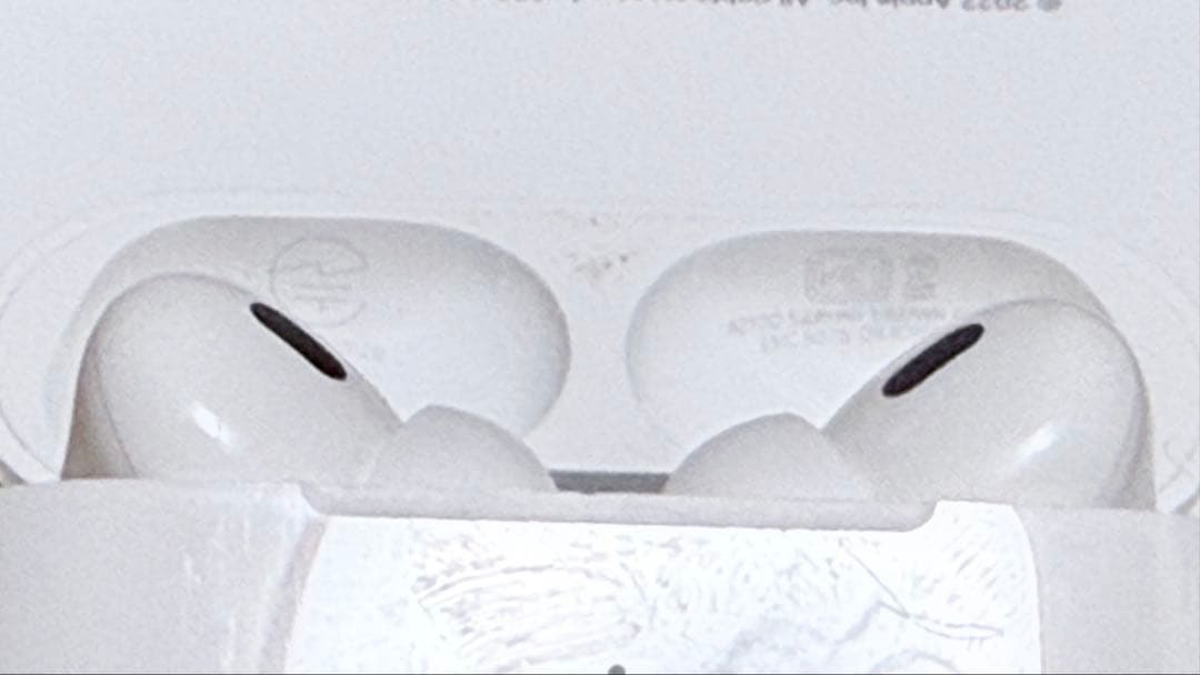 Apple AirPods Pro 第2世代 Lightningモデル