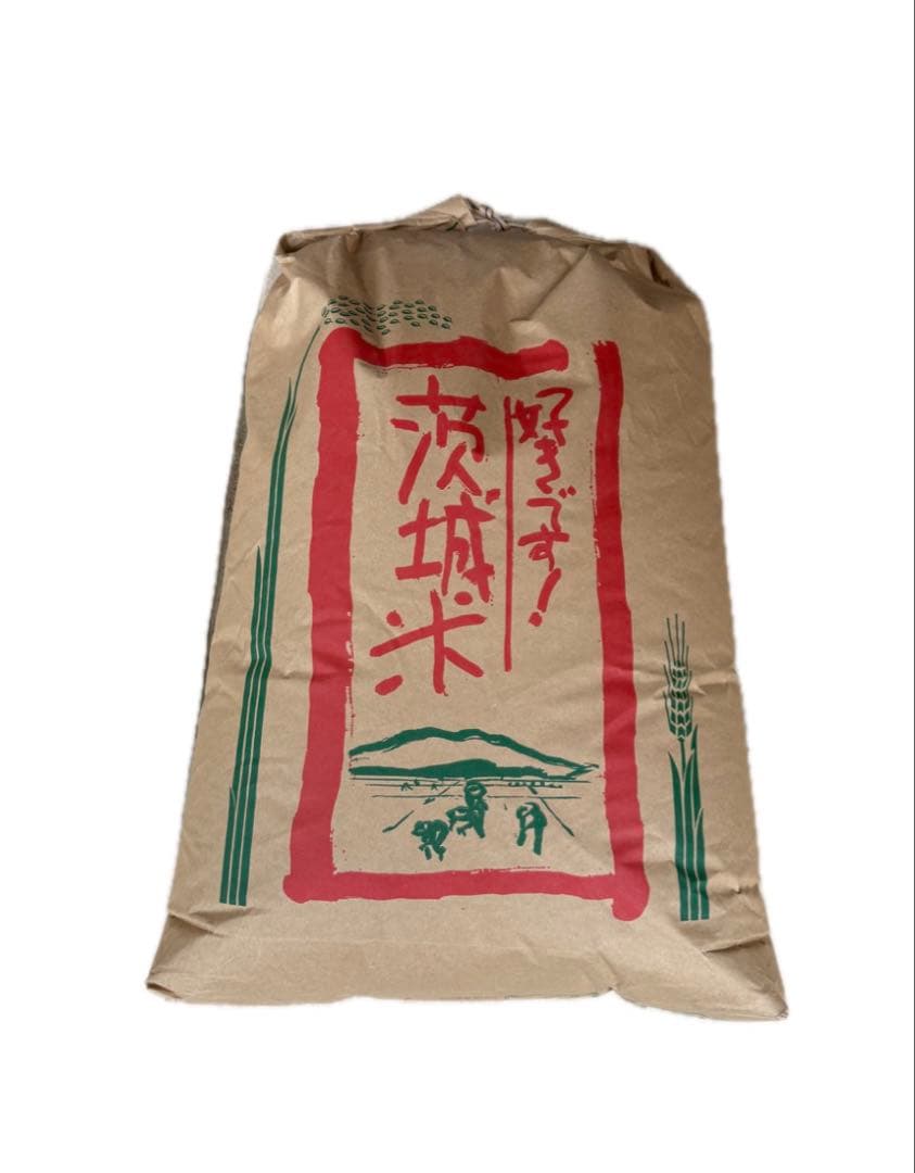 コシヒカリ　茨城県産　令和7年　玄米25キロ　冷蔵庫保存