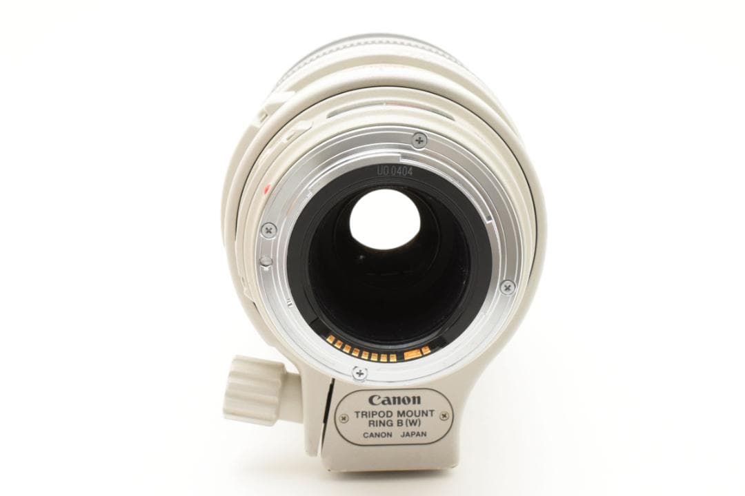 キャノン Canon EF 100-400mm F4.5-5.6L IS USM