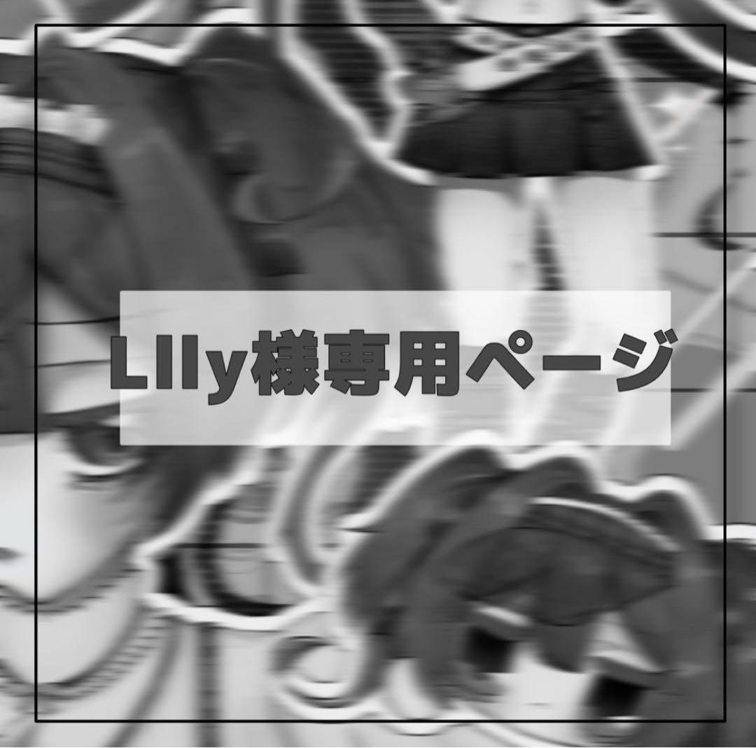 3枚 つめこみ 専用ページ