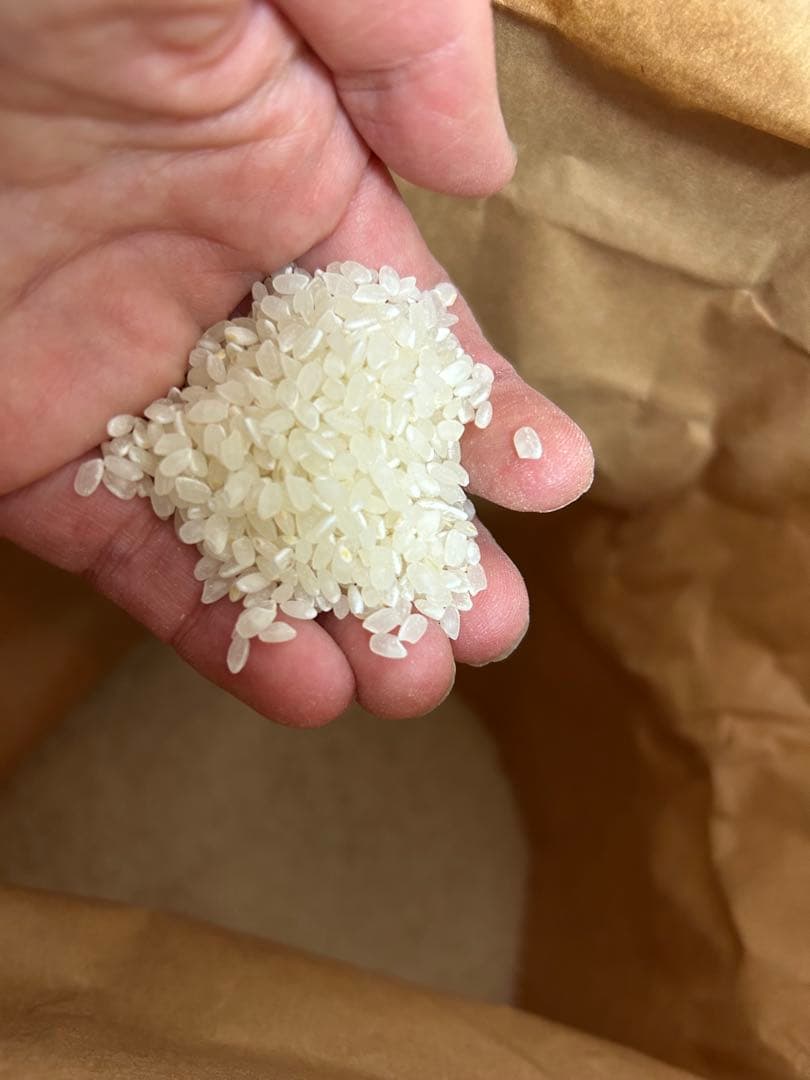 父の安全安心低農薬米こしひかり 10kg 千葉県産 令和7年