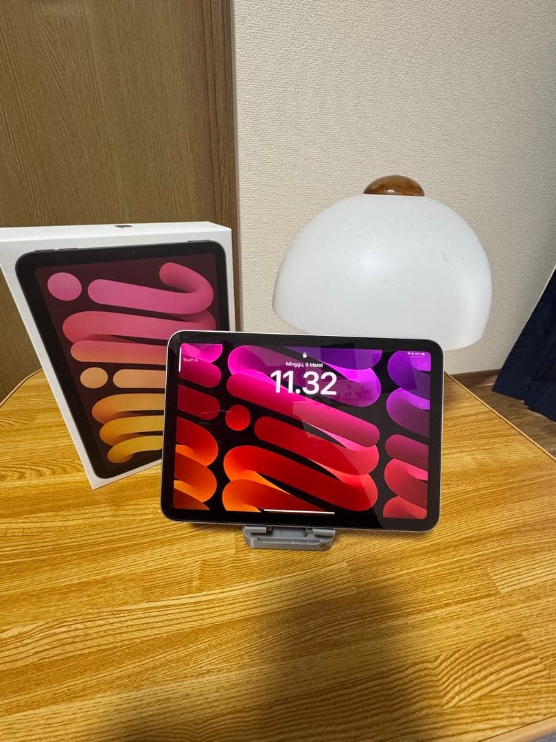 iPad本体 IPAD MINI A17pro 256gb