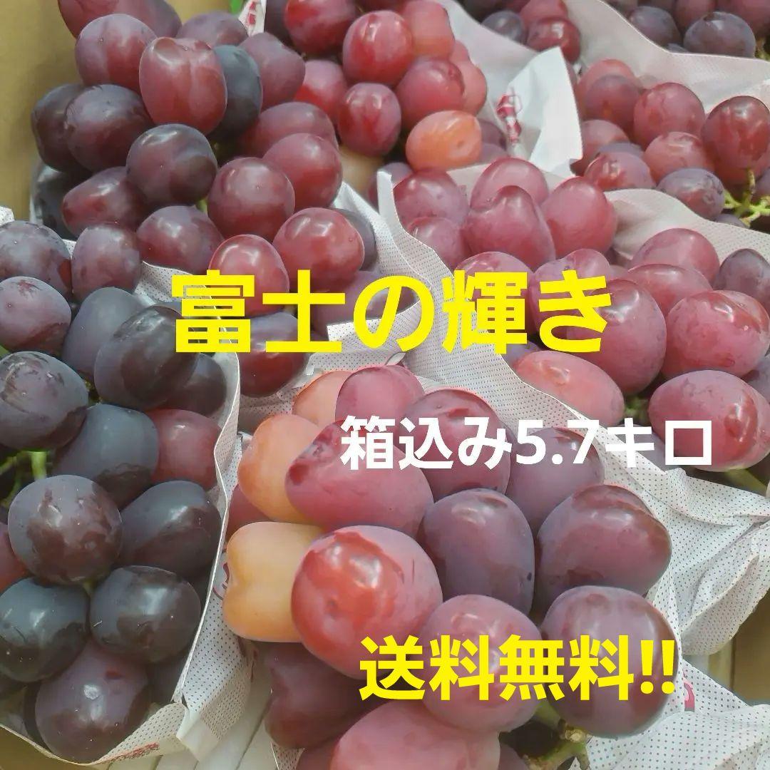 1⃣1⃣ 山梨県産 富士の輝 ８房入り 箱込み5.7キロ