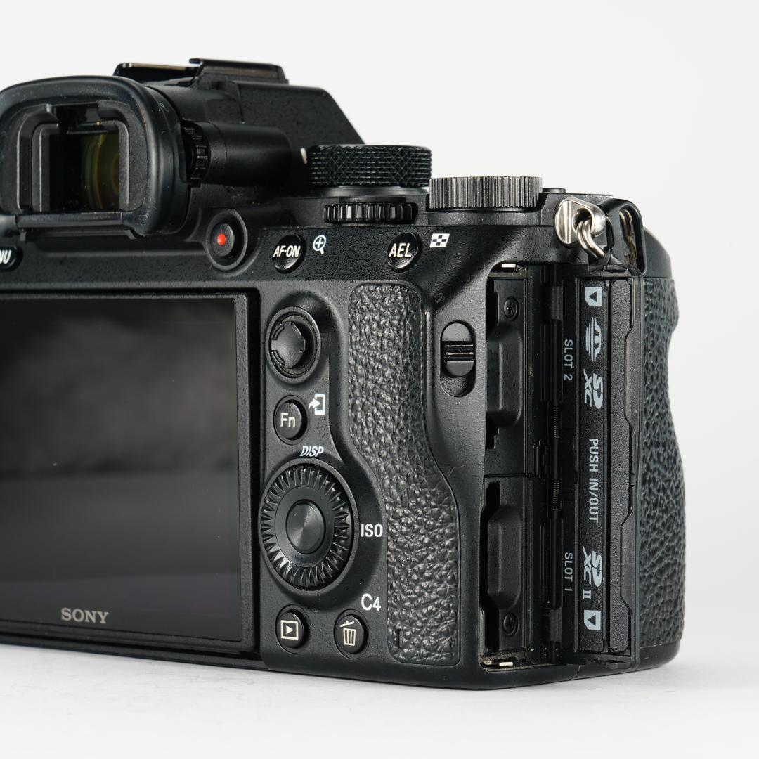 オラのSONY α7III!フルサイズで高画質!まだまだ使えっぞ!