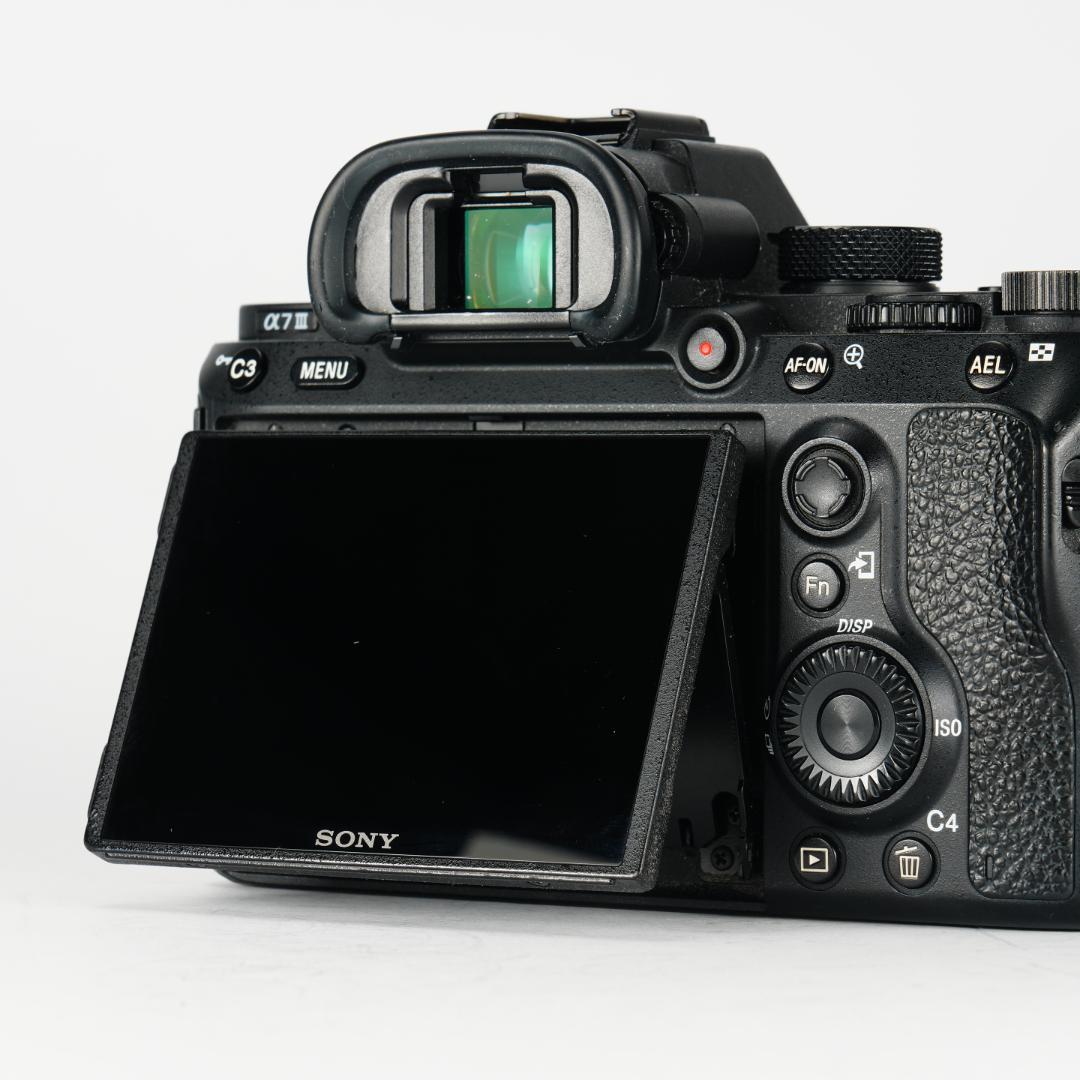 オラのSONY α7III!フルサイズで高画質!まだまだ使えっぞ!