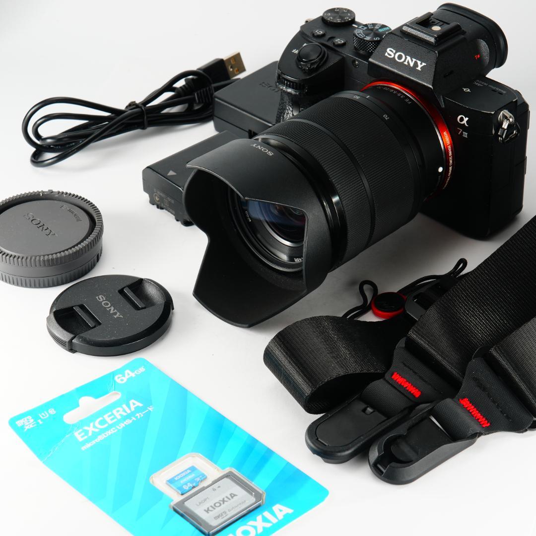 オラのSONY α7III!フルサイズで高画質!まだまだ使えっぞ!
