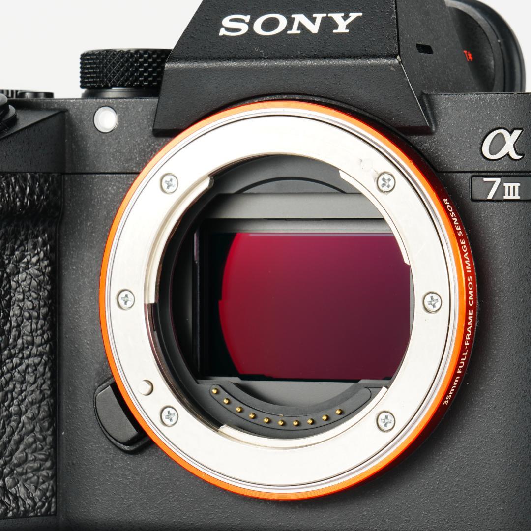 オラのSONY α7III!フルサイズで高画質!まだまだ使えっぞ!