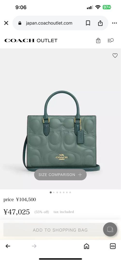 COACH グリーン ハンドバッグと財布セット