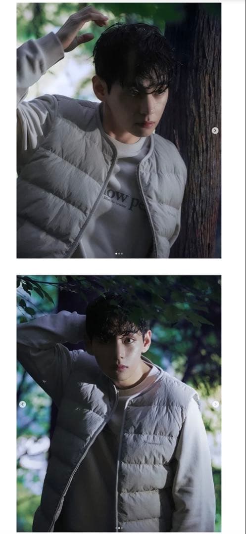  peak ダウンベスト M テテモデル