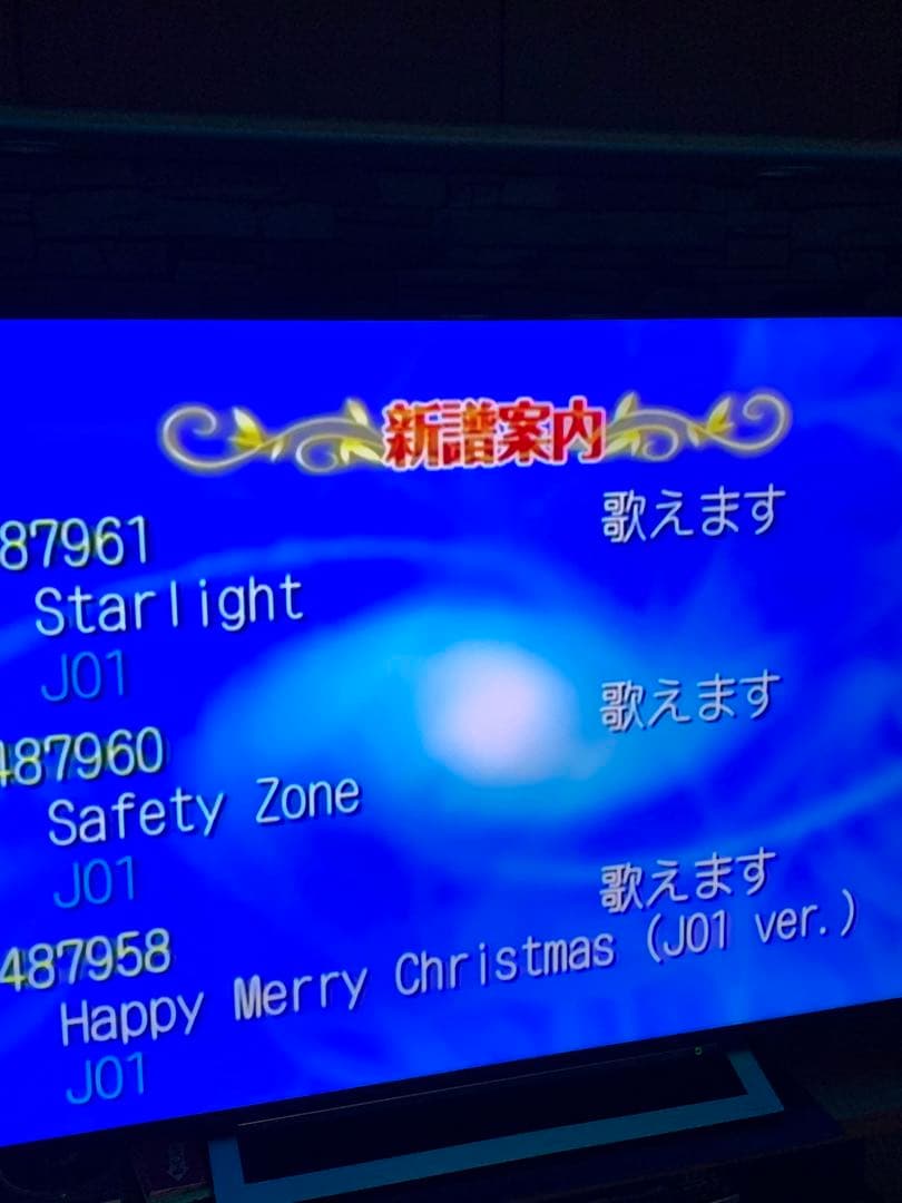 JOYSOUND エクシング カラオケ JS-W1N ロック解除用HDD付き