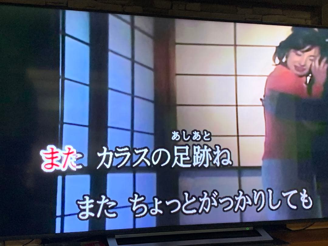 JOYSOUND エクシング カラオケ JS-W1N ロック解除用HDD付き