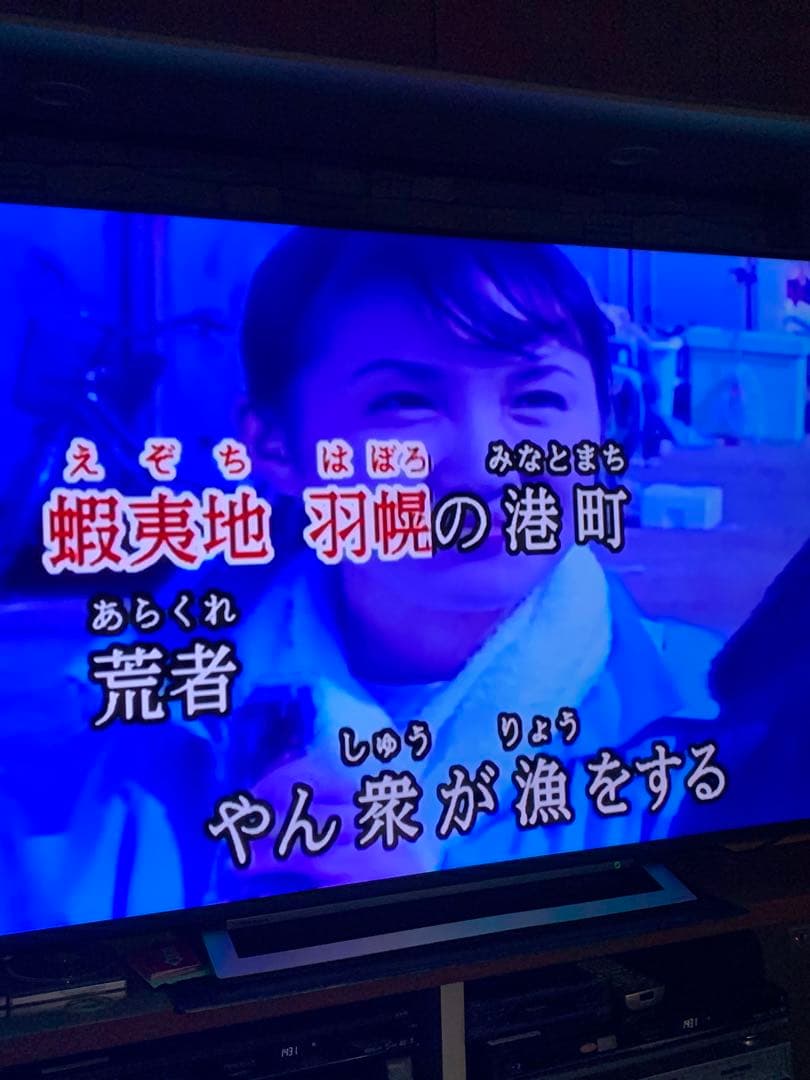 JOYSOUND エクシング カラオケ JS-W1N ロック解除用HDD付き