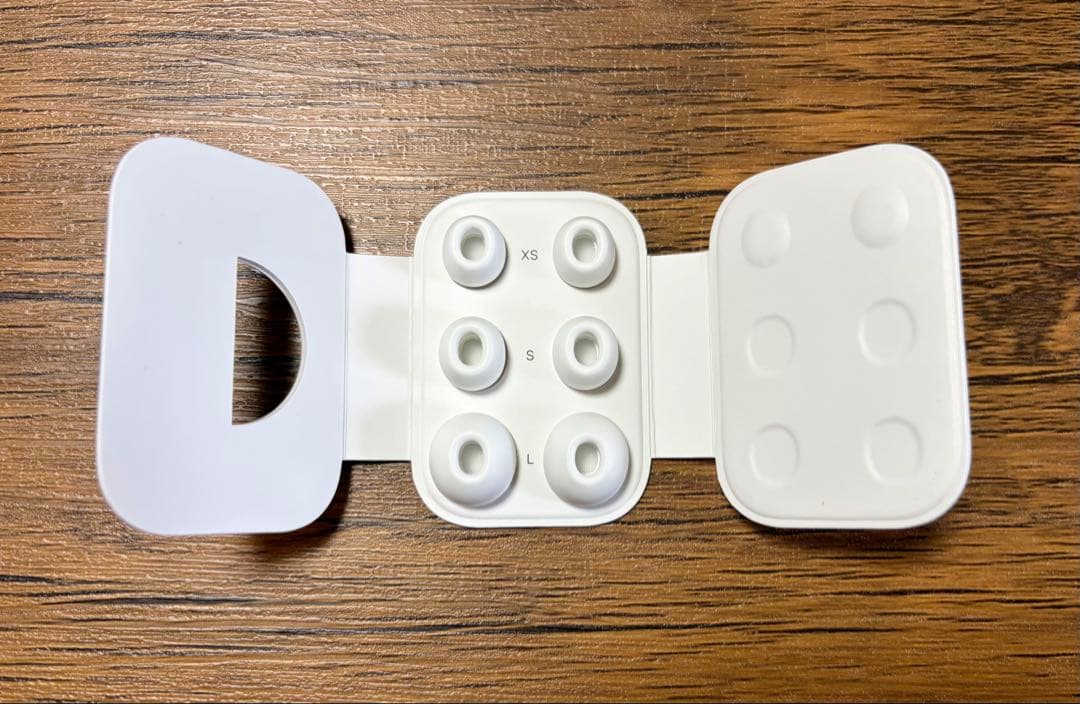 【説明欄必読】Apple / AirPods Pro 2 (Lightning)