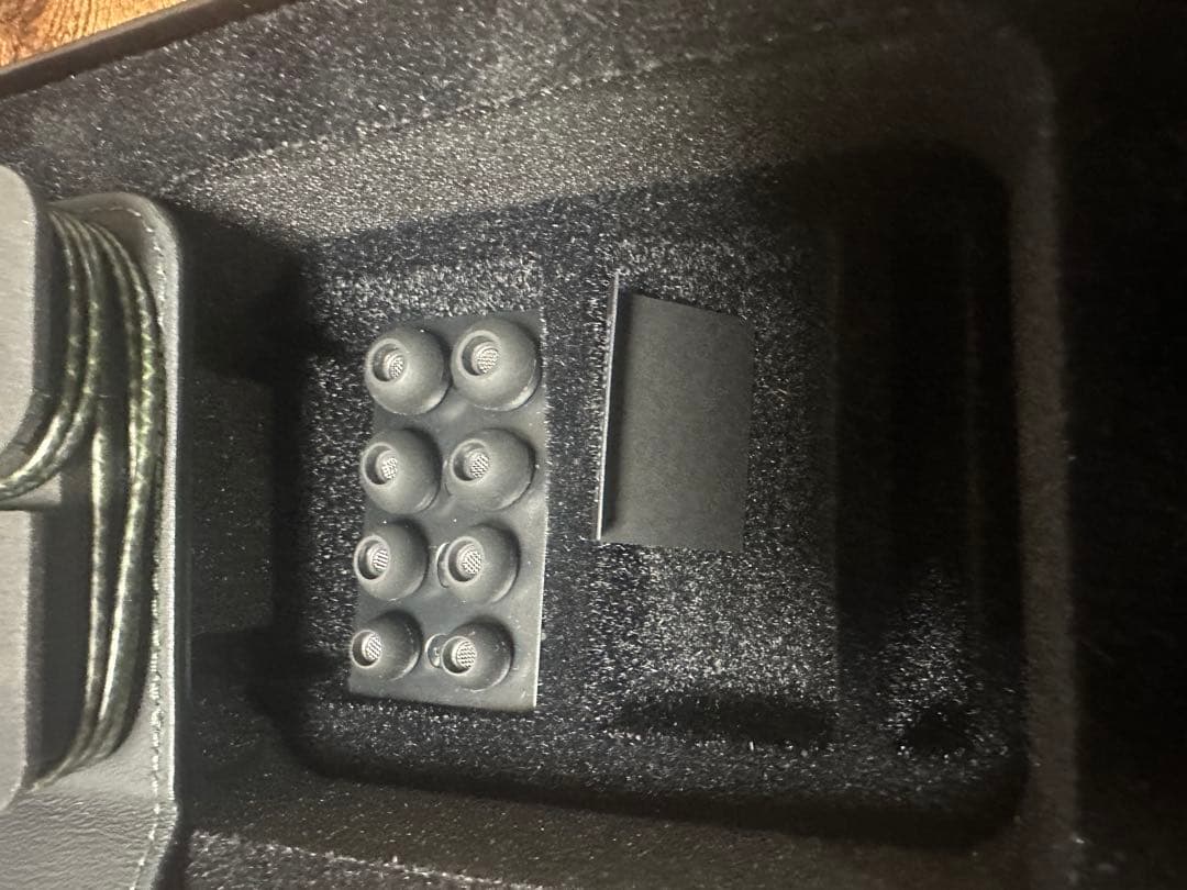 カ*ル様 Sennheiser IE 800 イヤホンゼンハイザー