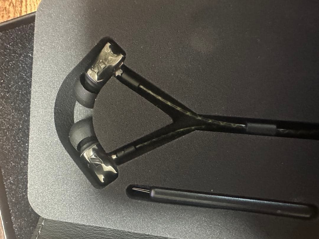 カ*ル様 Sennheiser IE 800 イヤホンゼンハイザー