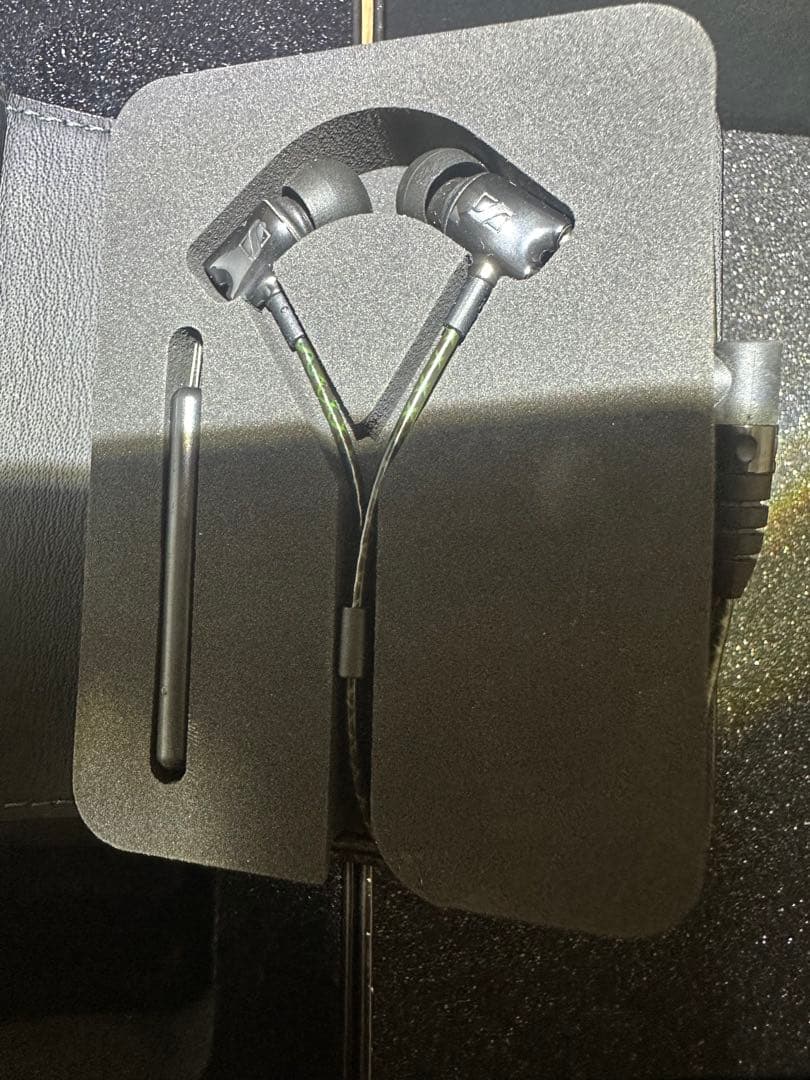 カ*ル様 Sennheiser IE 800 イヤホンゼンハイザー