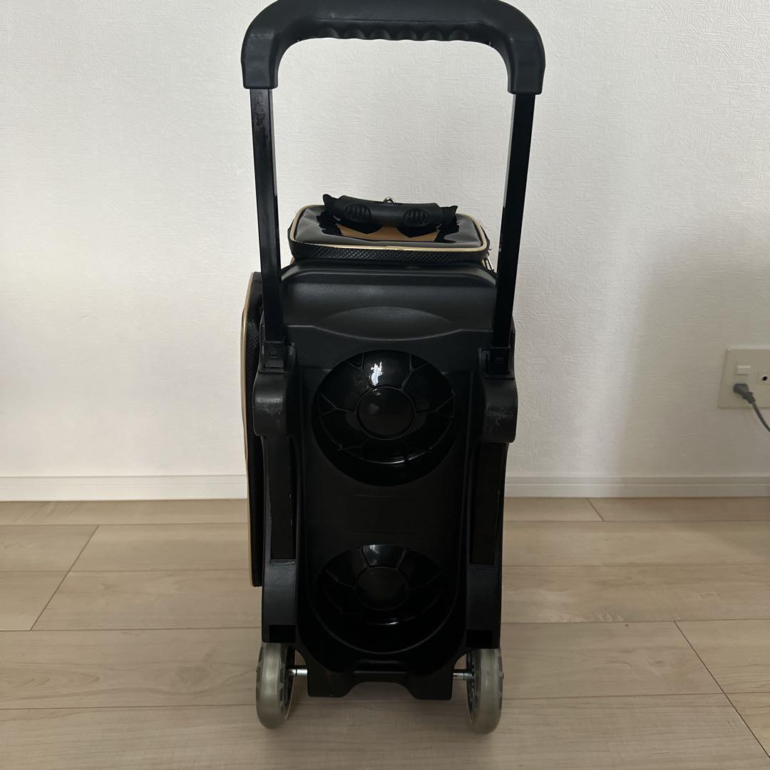 【極美品】2ボール用 Brunswick クラウン2ボールローラー