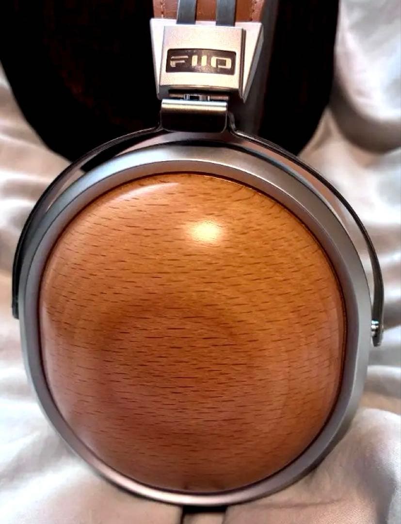 ほぼ新品FiiO FT1 密閉型 Beech FIO-FT1-C ・付属品未使用