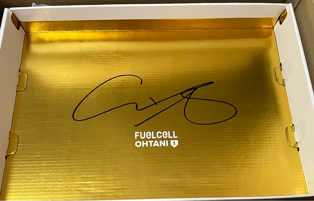 【即日発送】サイズ26.5㎝　Ohtani v1 Turf