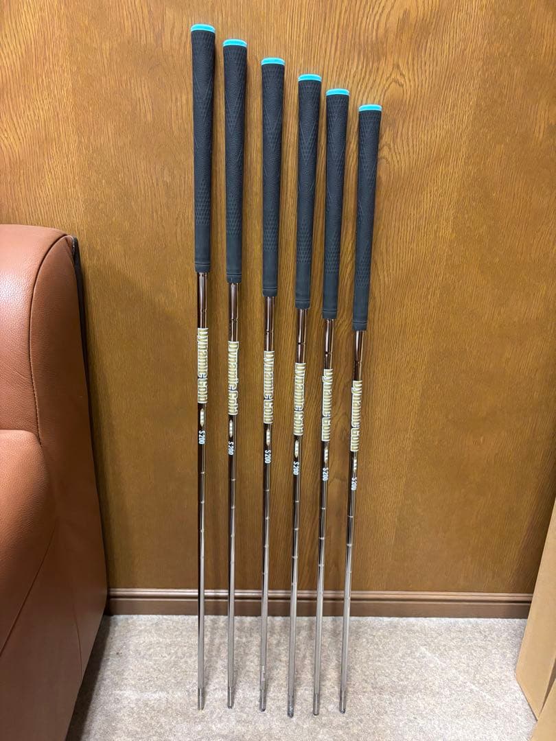 SRIXON DG S200 DST 5〜P 6本セット IOMICグリップ付き