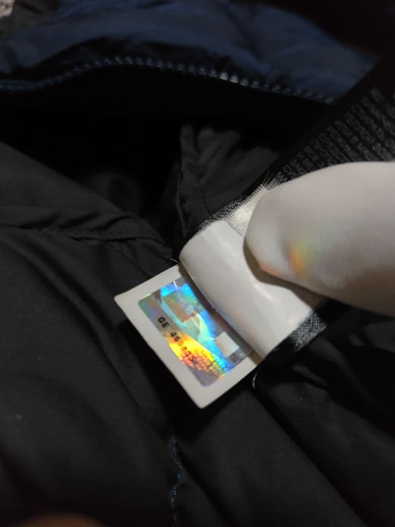 ザ ノースフェイス 700フィルダウンジャケット