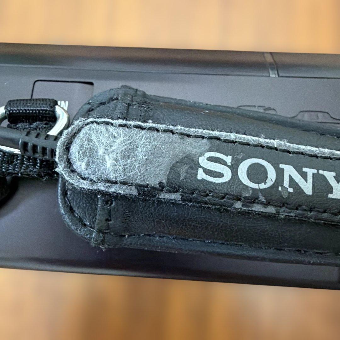 SONY デジタルHDビデオカメラレコーダー HDR-CX590V