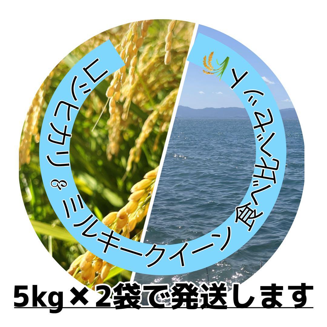 【令和7年度新米】近江米 ミルキークイーン 5kg +コシヒカリ 5kg