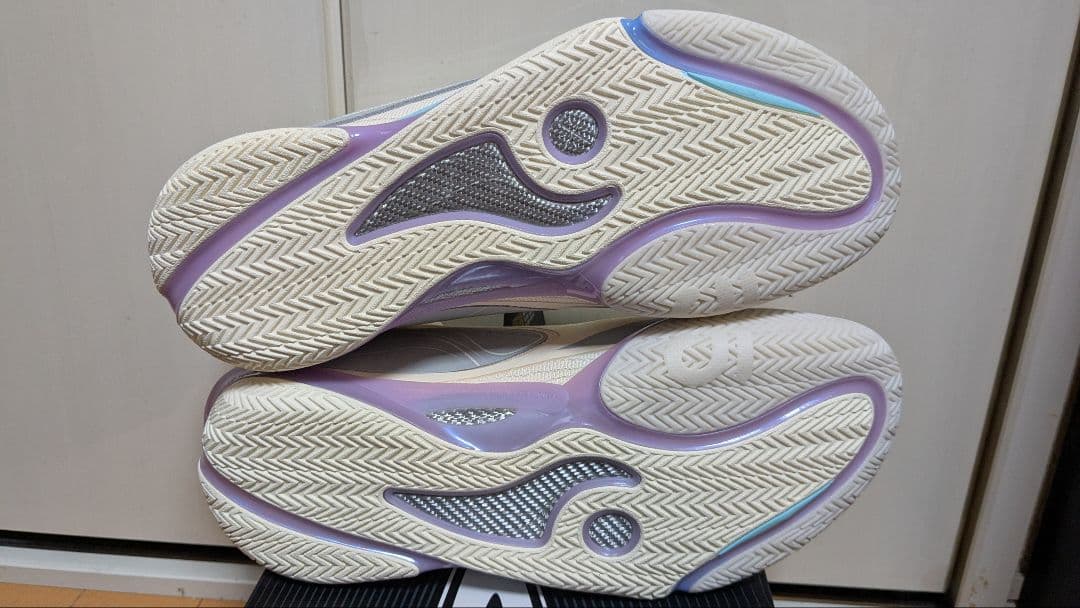 リーニン　Wade 808 5 ULTRA US9.5