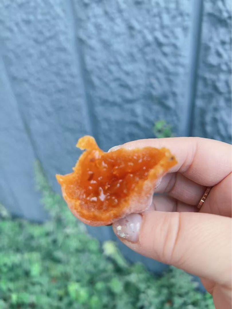 ‼️リピーター‼️干し柿　干柿　箱込み10kg