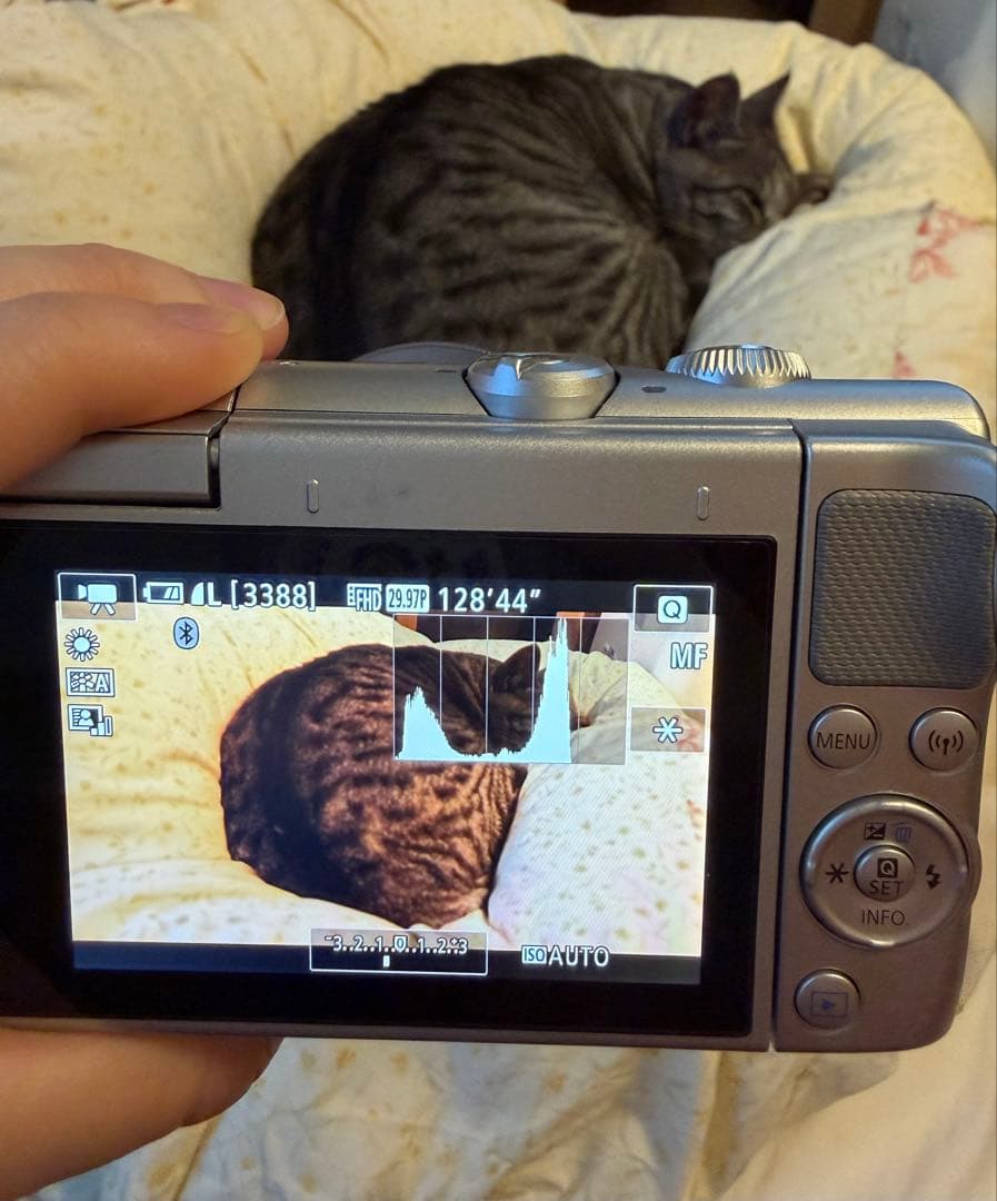 Canon EOS M100 ダブルズームキット 標準 望遠レンズ 週末限定値下