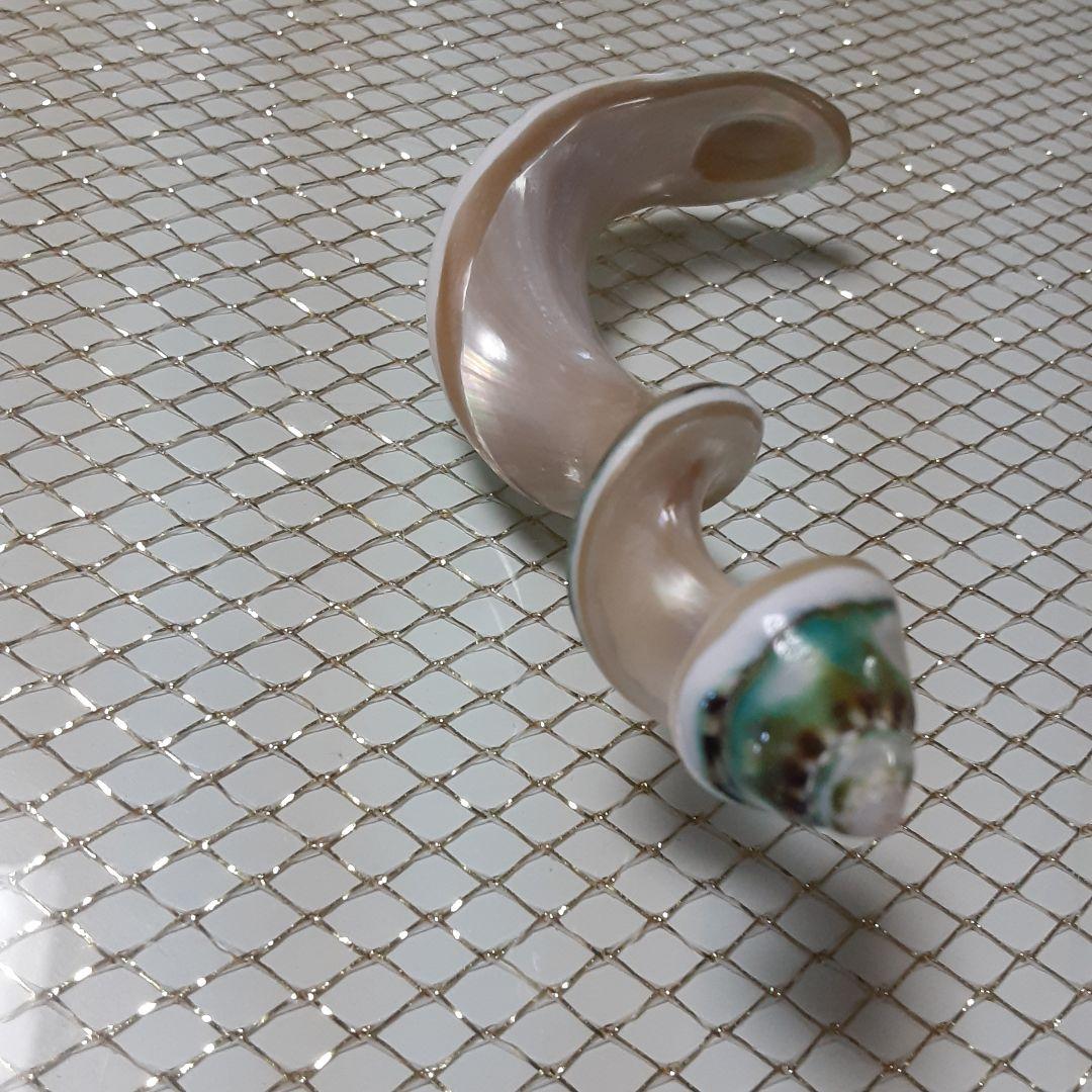 夜光貝　(6点おまとめ/ペロちゃん。❤︎お取り置き中)