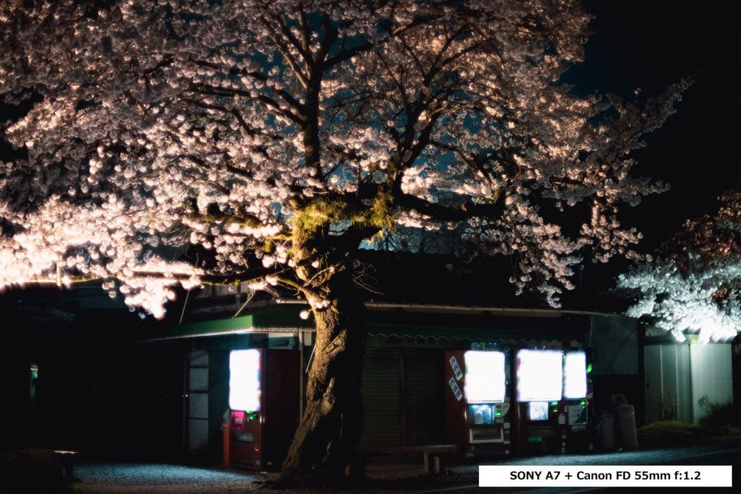 フィルムカメラ Canon FD 55mm 1:1.2 + FD28mm F2.8 S.C.