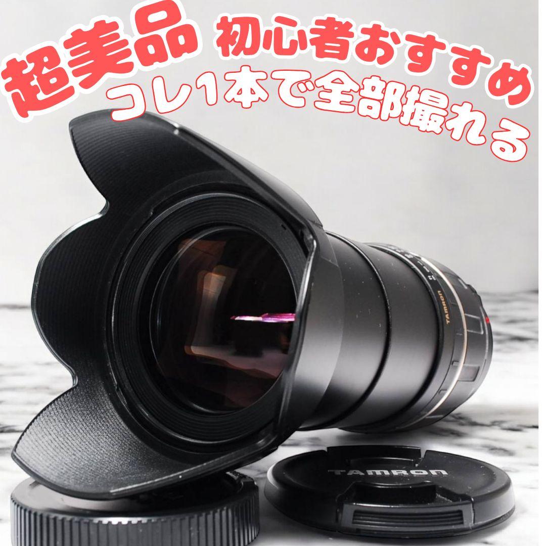 ♥レンズ交換不要♥超高倍率レンズ★タムロン TAMRON AF 28-300mm