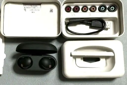 SONY ソニーワイヤレスイヤホン WF-1000XM5