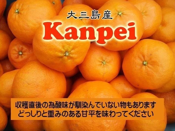 【Pё】M甘平9Kg　　同梱発送