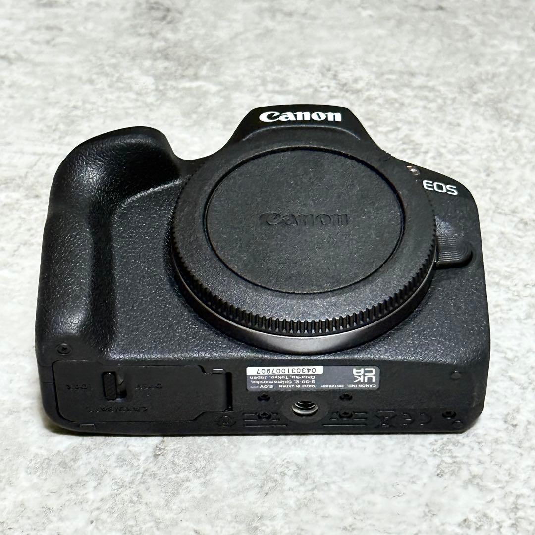 専用☆程度良好☆キヤノン EOS R100 RF-S4.5-6.3 IS STM