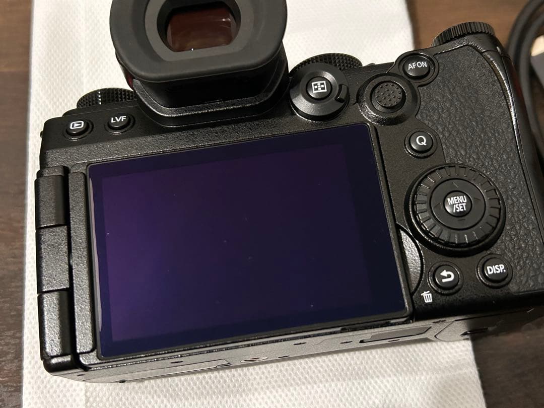 Panasonic LUMIX G9 Pro II ②