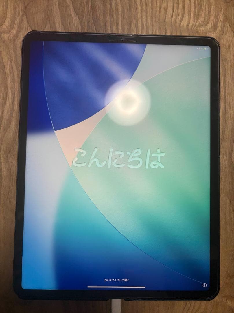 ​iPad Pro本体 12.9インチ 第5世代 128GB