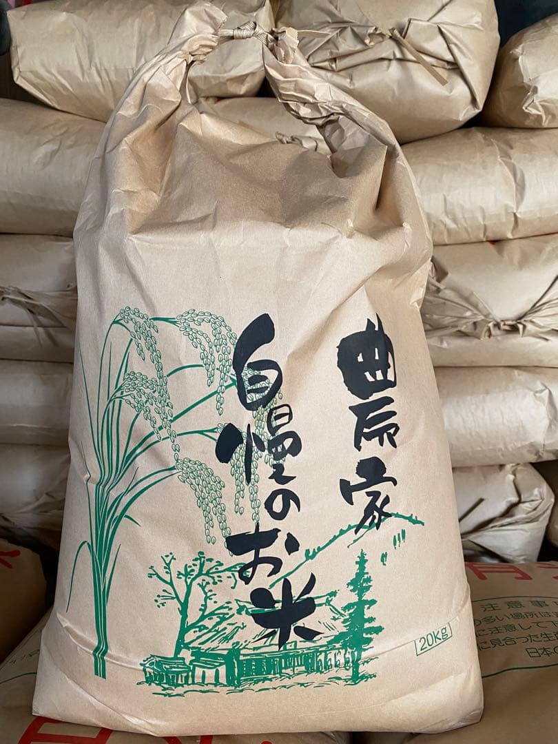 精米済み白米コシヒカリ20キロ　三重県産　2025年夏収穫分　お米