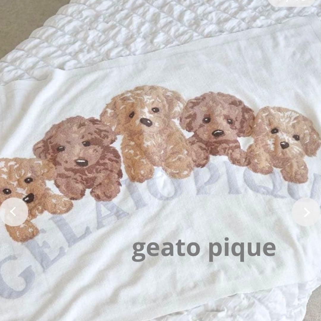 geato pique ジェラートピケ　トイプードル　ジャガード　ブランケット