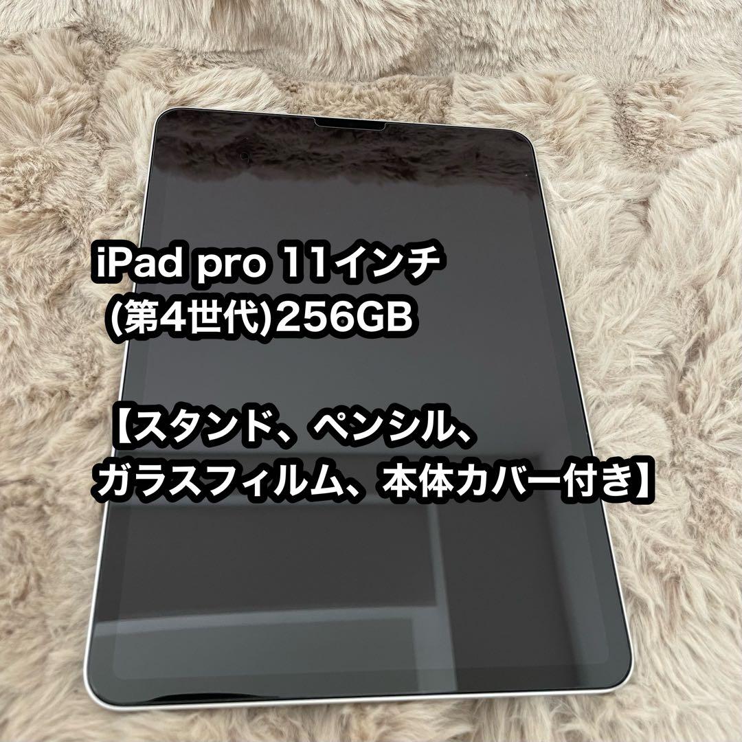 iPad pro 11インチ (第4世代)256GB